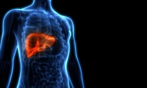 Ways to Prevent and Improve Fatty Liver Disease Naturally