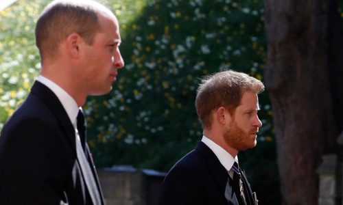 ‘Swaggery’ Prince William needs Prince Harry, not yes-men, to save the monarchy: royal expert