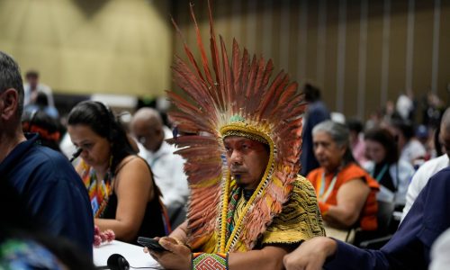 United Nations summit gives Indigenous groups voice on nature conservation decisions