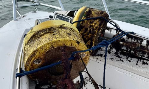 Cape Cod shark buoys removed from water: ‘Never a guarantee our waters are shark-free’