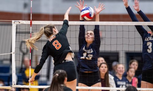 Fourth straight trip to the Div. 1 state volleyball final for Newton North