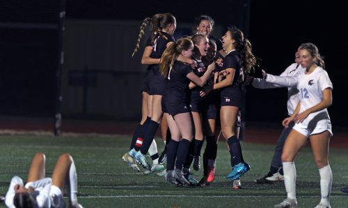 Wellesley girls edge Brookline to make Div. 1 final