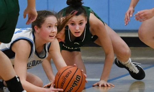 Division 1-2 girls basketball preview and players to watch