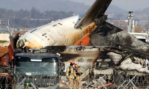 179 Dead After Plane Crashes, Explodes During Landing at South Korean Airport