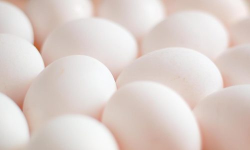 Bird flu claims 12% of egg supply for major national processor