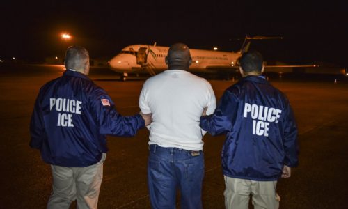 PODCAST: ¿Dónde se renovaron los contratos de los centros de detención de ICE del país?