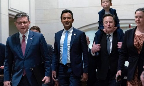 Brotman: How DOGE can score an early win