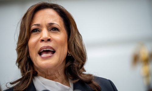 Editorial: Expensive lessons of the failed Harris campaign