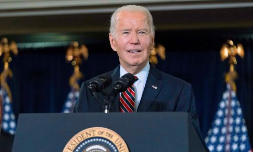 Young: Biden should reduce presidential power