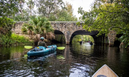 Experience wild Florida with a trip down the Loxahatchee River