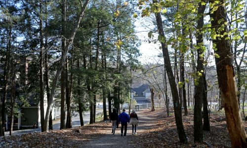 Massachusetts state parks offer free guided hikes for New Year’s Day
