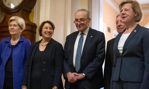 Democrats stick with Schumer as leader, their strategy for countering Trump is far less certain