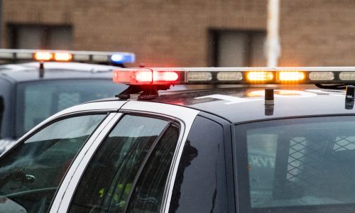 2 arrested in northern Minnesota animal mistreatment case involving 250 cats and dogs