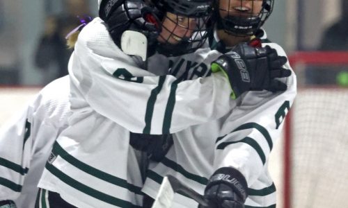 Girls hockey preview, players to watch