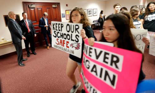 Florida lawmakers propose rolling back gun control laws passed after Parkland shooting