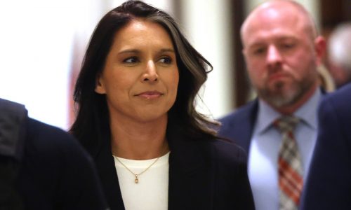 Tusli Gabbard shows ‘momentum’ on the Hill after whipping vote for DNI position