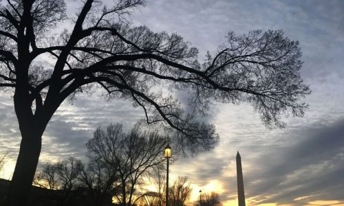 The winter solstice is almost here, the Northern Hemisphere’s darkest day