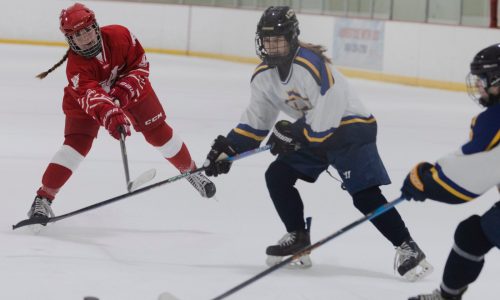 Garrett Reagan Summit: Hockey showcase kicks off season