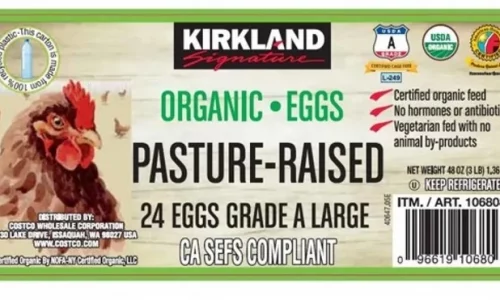 Organic Eggs Recalled From Costco for Salmonella Risk