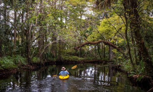 Travel: Paddle the Loxahatchee River, one of two National Wild and Scenic Rivers in Florida