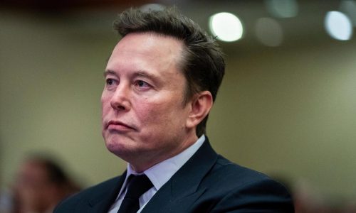 Elon Musk and Vivek Ramaswamy are bringing Trump’s DOGE to Capitol Hill