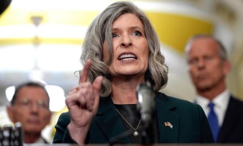 Pressure on a veteran and senator shows what’s next for those who oppose Trump