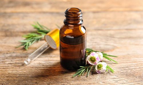 The best tea tree oils to enhance your beauty routine
