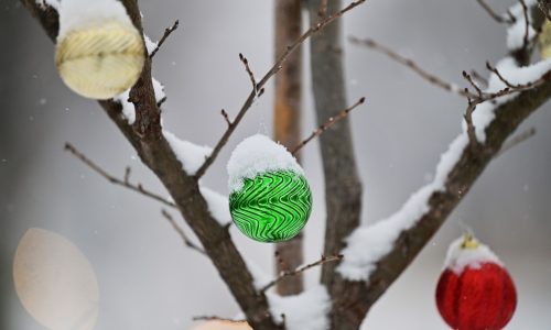 “The Christmas Spider” opera coming to Lowry Lab Theater before Christmas