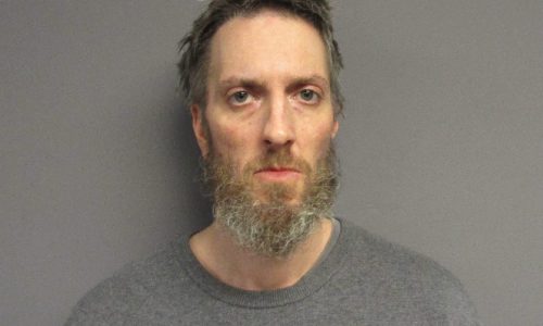 Kingston man jailed for poisoning dog with fentanyl, stabbing terrier to death