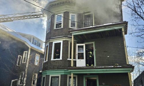 Roxbury resident and dog displaced by fire