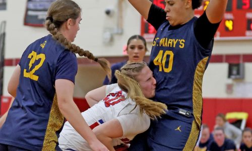 St. Mary’s nets impressive road win at Bridgewater-Raynham