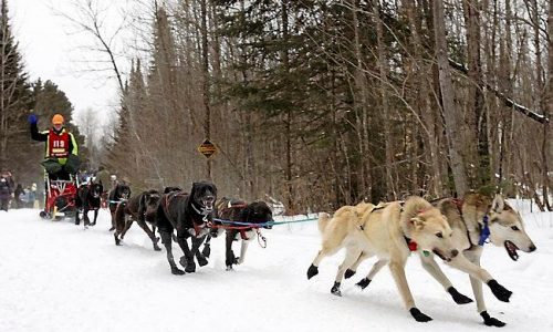 Poor snow conditions prompt postponement of North Shore dog sledding event