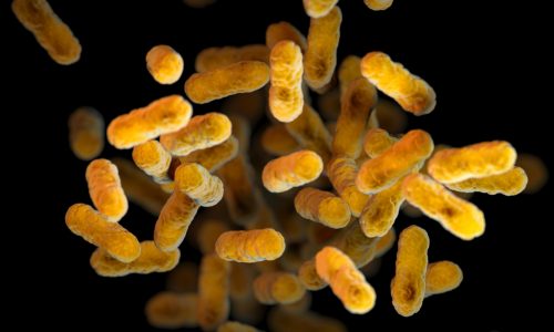 Confirmed case of pertussis/whooping cough in St. Paul school district