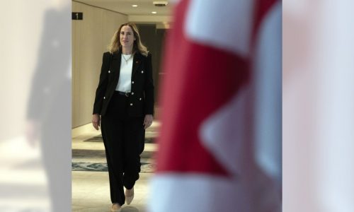 Canada ready to buy more American products to appease Trump’s tariff threat, ambassador says