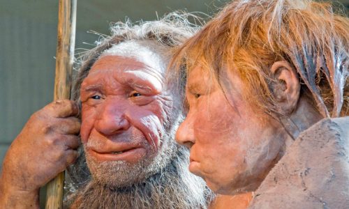 Mohammad Hosseini: Should AI be used to resurrect extinct species like the Neanderthal?