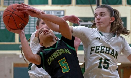 Long-distance shots lead Bishop Feehan past Cathedral