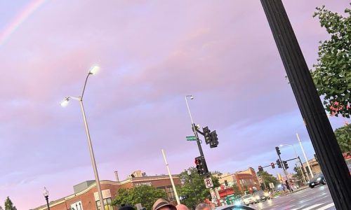 TrueVines grows from strong roots in garage rock