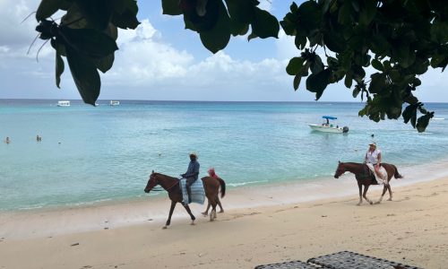 The House wins as an elegant, intimate, cozy touch of luxe escape in Barbados