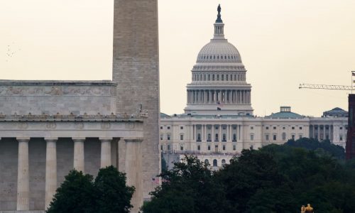 Moore: Auction fed assets to pay for Trump tax cut