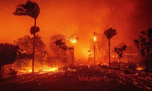 Jordan Thomas: Are wildfires caused by climate change or something else? The question is flawed