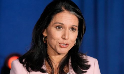 Watch live: Tulsi Gabbard testifies at national intelligence director confirmation hearing