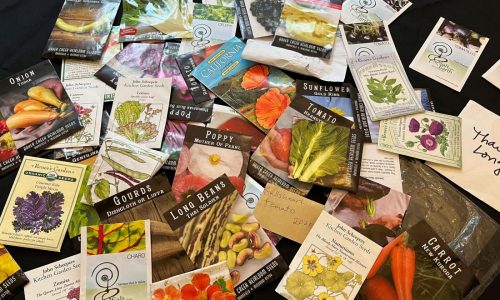 Too early to prep the garden for spring? Nope