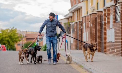 4 tips for launching a side hustle at any age