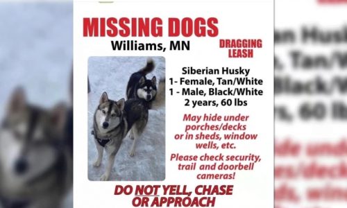 Family looks for justice after missing dogs are killed near Minnesota state park