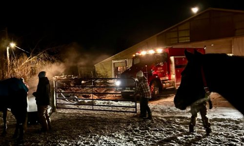 After water froze, Hugo Fire Department helped hydrate sanctuary horses