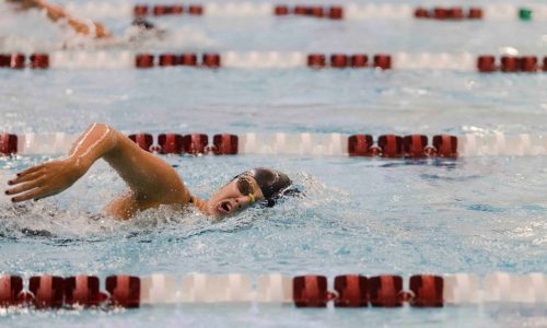 2024 Fall girls swimming All-Scholastic and league All-Stars