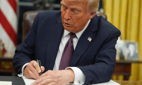 Trump signed an order to end birthright citizenship. What is it and what does that mean?