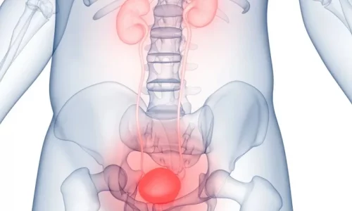 Why ‘Holding It In’ Could Damage Your Bladder, Doctors Warn