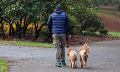 The best puffer vests for warmth without the bulk