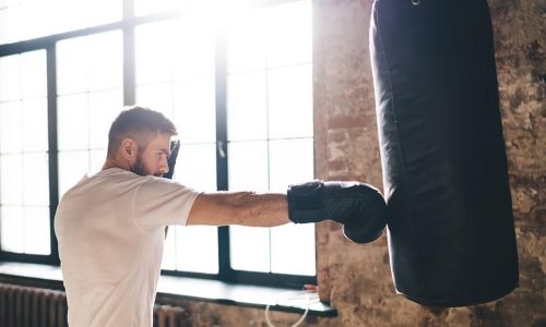 Train like a pro with the best punching bags